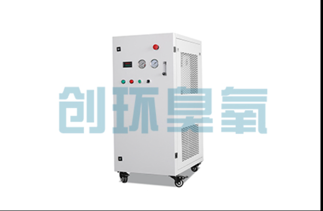 汕尾工厂化养鲈必看:2026年臭氧发生器替代传统消毒的最新方案