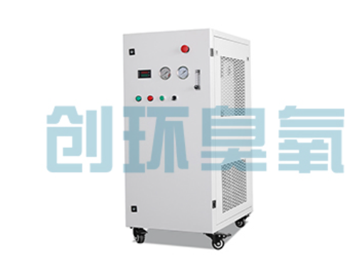汕尾石斑鱼养殖水质调控完整指南:臭氧发生器配置与操作步骤