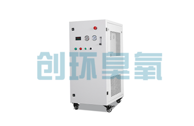 汕尾比传统换水更高效?臭氧发生器在石斑鱼养殖中的水质净化原理解析